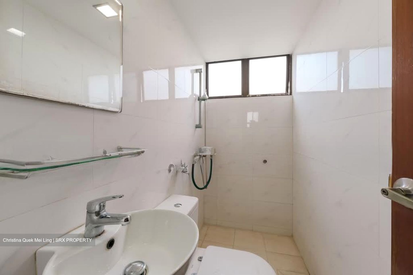 Pandan Valley (D21), Condominium #623142941